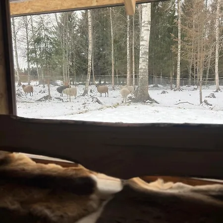 Elaemyksellinen Glamping-teltassa * Kokkola (Karleby)